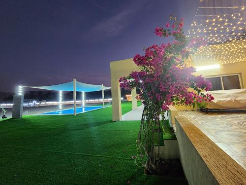 View, استراحه الليوان ALliwan Rak 1 in Khatt