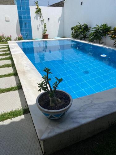 Um Paraiso em Paripueira in Paripueira