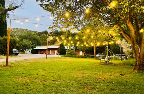 Mile High Ranch - image 6