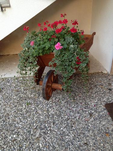 Farmstay Alloggio Cort di Branc