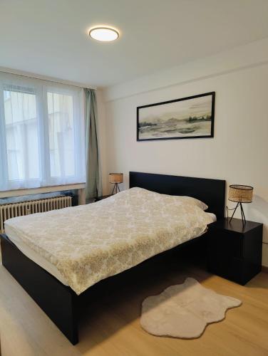 Bright & Cozy Appartment in Brussels, Брюссель (фото 10)