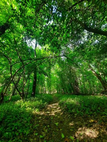 Apkārtne, Casa en Sierras de Córdoba, Villa la Bolsa. (Casa en Sierras de Cordoba, Villa la Bolsa.) in La Bolsa