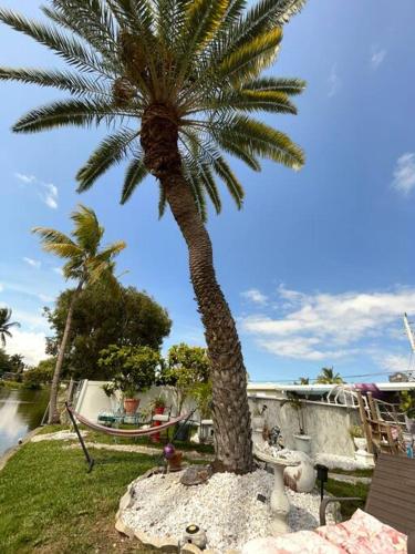 Tranquil ZEN Pool WATER Front King,Near Beaches,Nightlife, Hard Rock,Shopping,Paradise in Hallandale Beach, USA