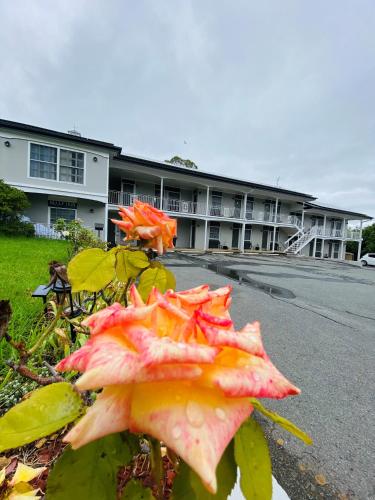 . Colonial Lodge Motor Inn