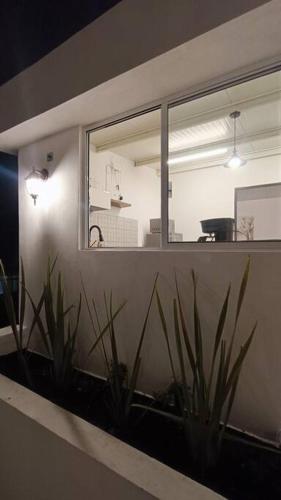 Departamento Excelente ubicación Depto C in Orizaba, Mexico