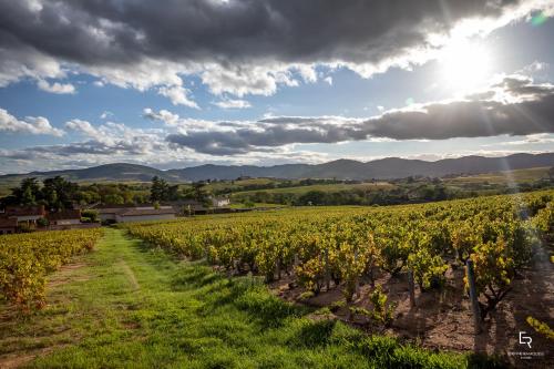 Les Glycines - Domaine Gilles Coperet - image 3