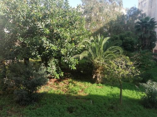 Happy Family Stay with Garden View Casablanca, Casablanca (fotografie 7)