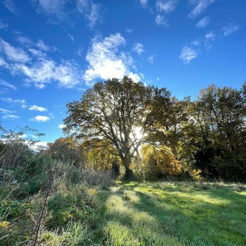 A környék, Superbe maison de campagne à deux pas de Nantes (Superbe maison de campagne a deux pas de Nantes) in Treillieres