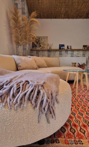  ZEN-bungalow NO 2 met sauna en hottub in Rheezerveen