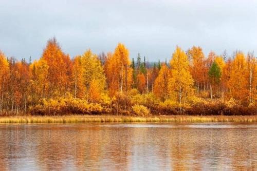 Borealis, Saariselkä (foto 7)