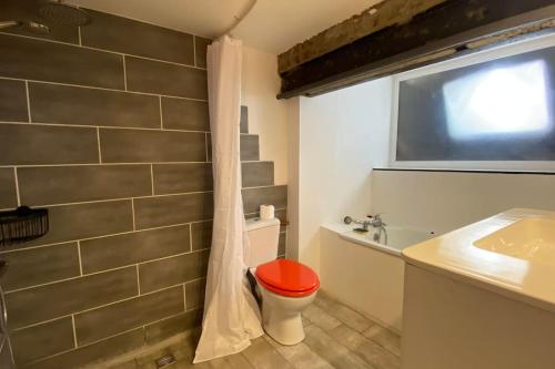 Vaste T2 Duplex Lille Beaux Arts - Renaud - image 2