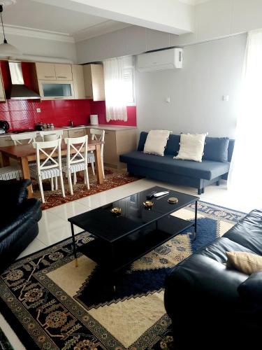 Spacious Apartment near Ioannina