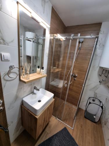 Luxury Apartment Borovi 2 - image 3