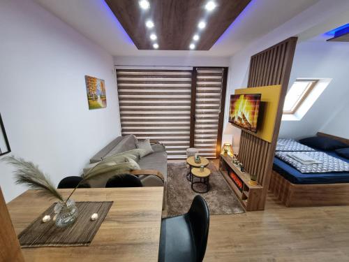 One-Bedroom Apartment image 10