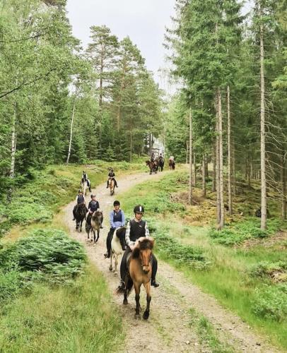 Lägenhet på hästgård