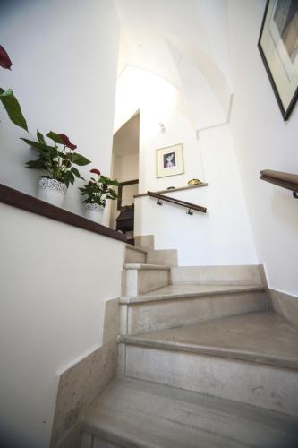 B&B Acquapazza - image 9