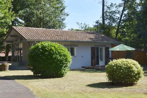 Gîte L'Evidence , un cadre verdoyant et reposant. - Location saisonnière - Rion-des-Landes