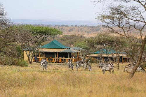 Ndoto Serengeti Camp