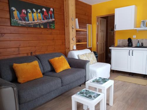 Gîte du Chalet - Le studio en pleine nature (Gite du Chalet - Le studio en pleine nature) in Saint-Maurice-sous-les-Cotes