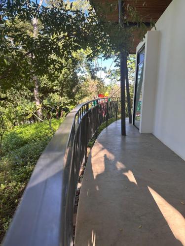 520492804 Suitree Experience Hotel