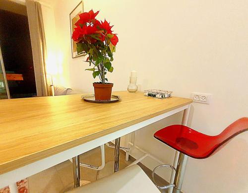 Spacious New 1BD Levinski Florentin Spacious New 1BD Levinski Florentin