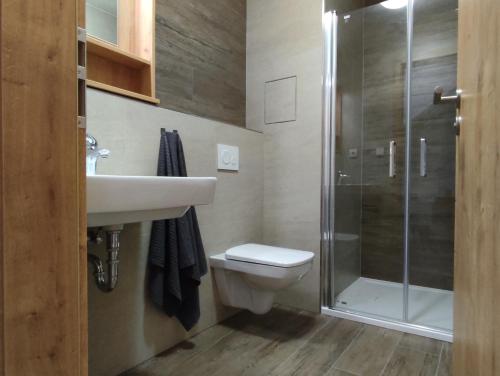 Shower, Hojsova Straz Brcalnik Apartman Hannzi in Hojsova Stráž