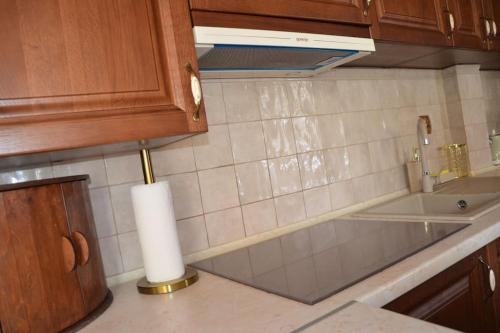 Apartament Premium Retro in 波烏琴-茲德魯伊