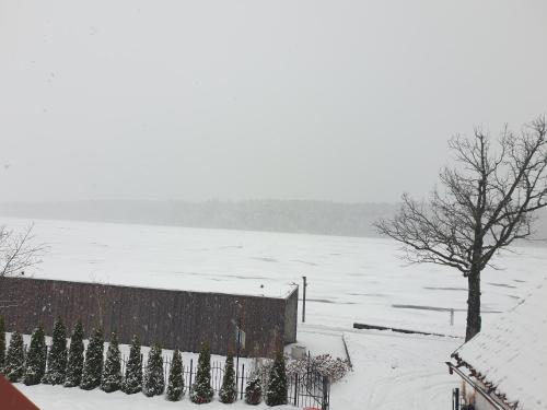 Brzydkie Kaczątko - main image