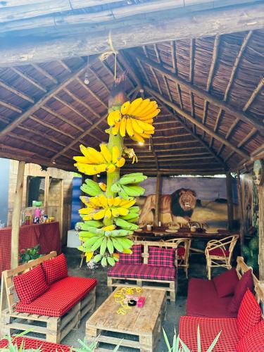 Fasilitas, Safari villa in Arusha