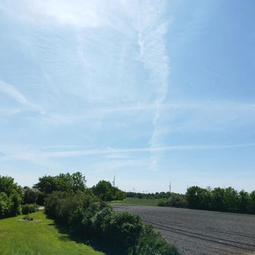 周邊環境, Kleine Freiheit in 尤貝克