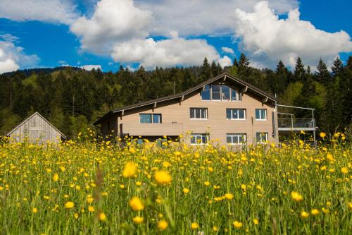  Haus Feurstein, Pension in Hittisau