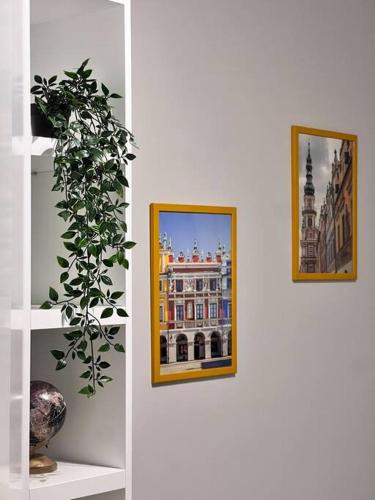 Apartament Zamojski na Roztoczu in ซามอสค์