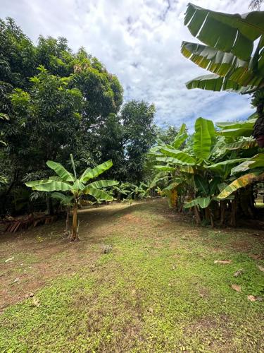 Surrounding environment, Chacara Recanto da Paz in Parque Real
