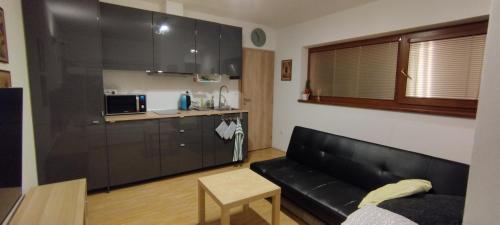 Apartmán U nás (Apartman U nas) in Nove Veseli