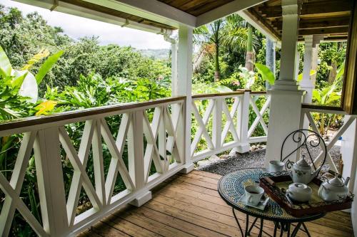 Monte Sagrado Reserve-100 acres Wellness River cabin