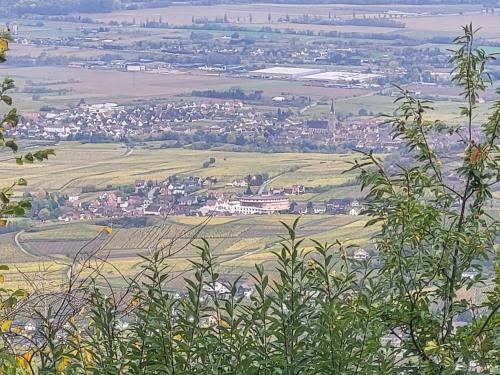 Apkārtne, Sur la Route du Vin in Rorschwihr