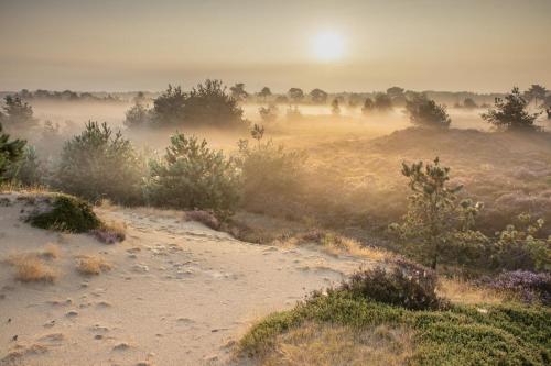 Apkārtne, Sfeervolle vakantiewoning midden in het Drents-Friese Wold in Vaterene