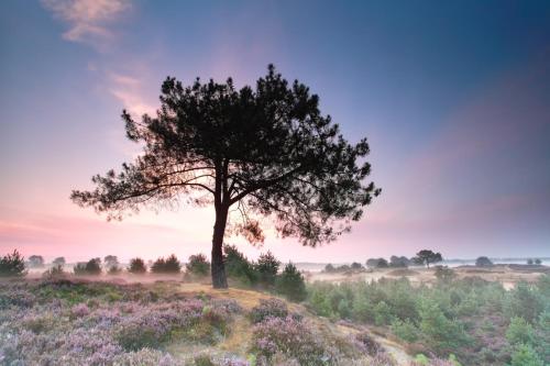 Apkārtne, Sfeervolle vakantiewoning midden in het Drents-Friese Wold in Vaterene