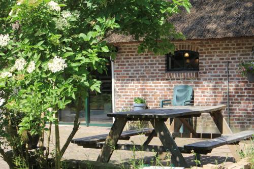 Dārzs, Sfeervolle vakantiewoning midden in het Drents-Friese Wold in Vaterene