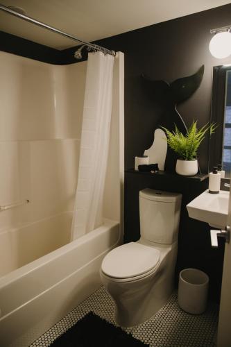 The Orca Pad at Waddigton Flats