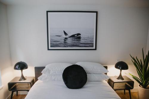 The Orca Pad at Waddigton Flats