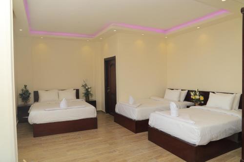 Grand Museum Pyramids View Hotel - image 12