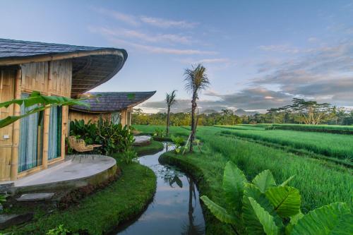 IPIAN Cinta by GenuineHost, Ubud (Foto 3)