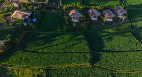IPIAN Cinta by GenuineHost, Ubud (Foto 8)