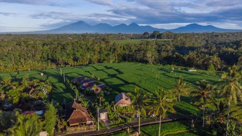 IPIAN Cinta by GenuineHost, Ubud (Foto 6)