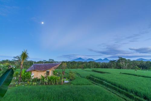 IPIAN Cinta by GenuineHost, Ubud (Foto 10)