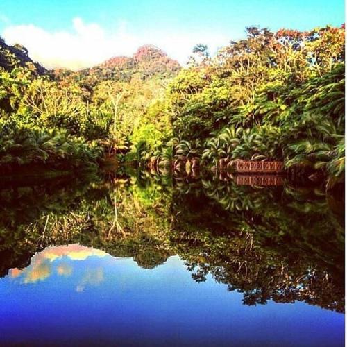 Monte Sagrado Reserve-100 acres Wellness River cabin