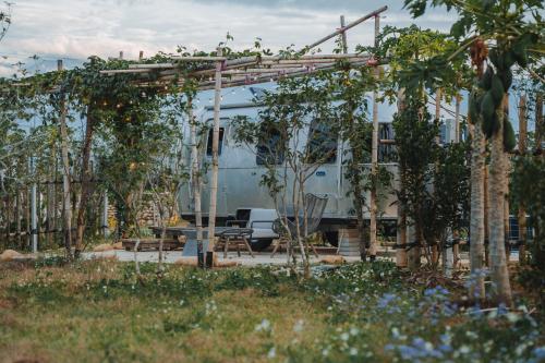 小巷清风  小巷清风