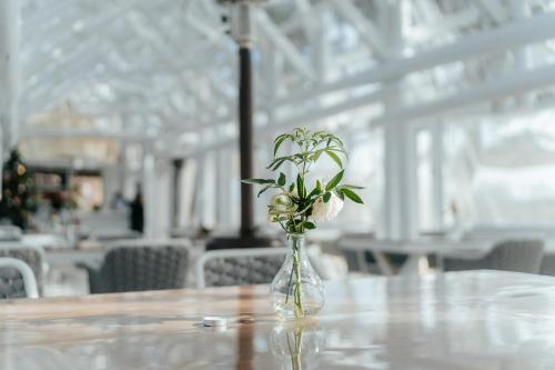 restavracija, Le.Alley Autocamp in Okrožje Zhuolan