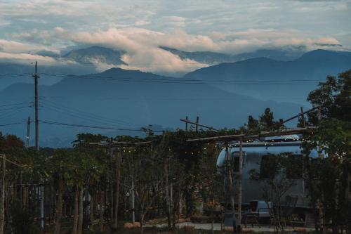 小巷清风  小巷清风